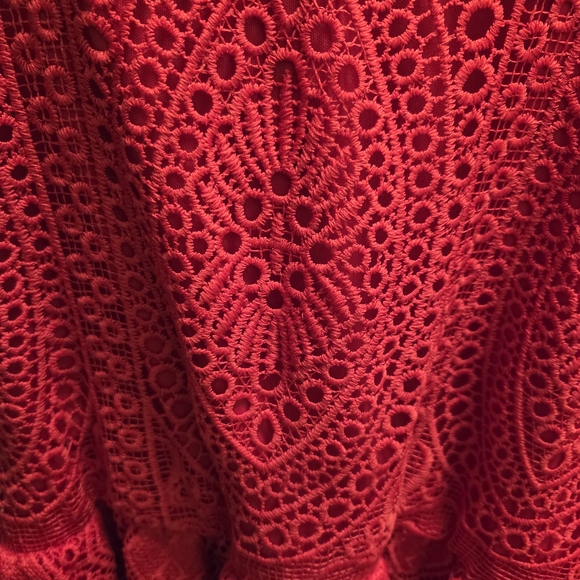 Lane Bryant Vibrant Red Lace Dress - Picture 3 of 14